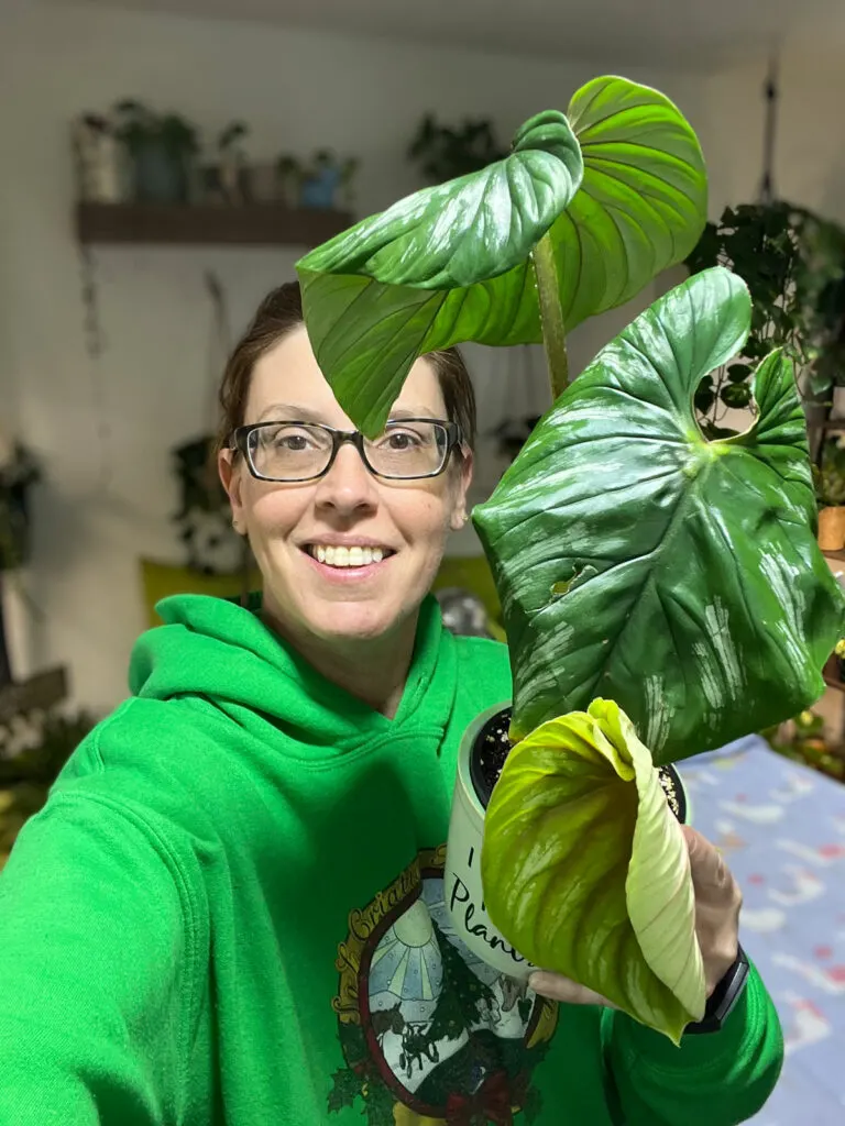 jenny-grimes-houseplant-hoarder