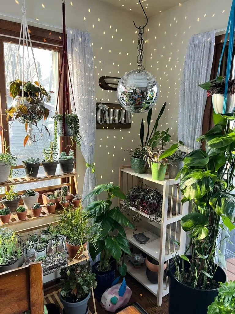 jenny-grimes-houseplant-hoarder