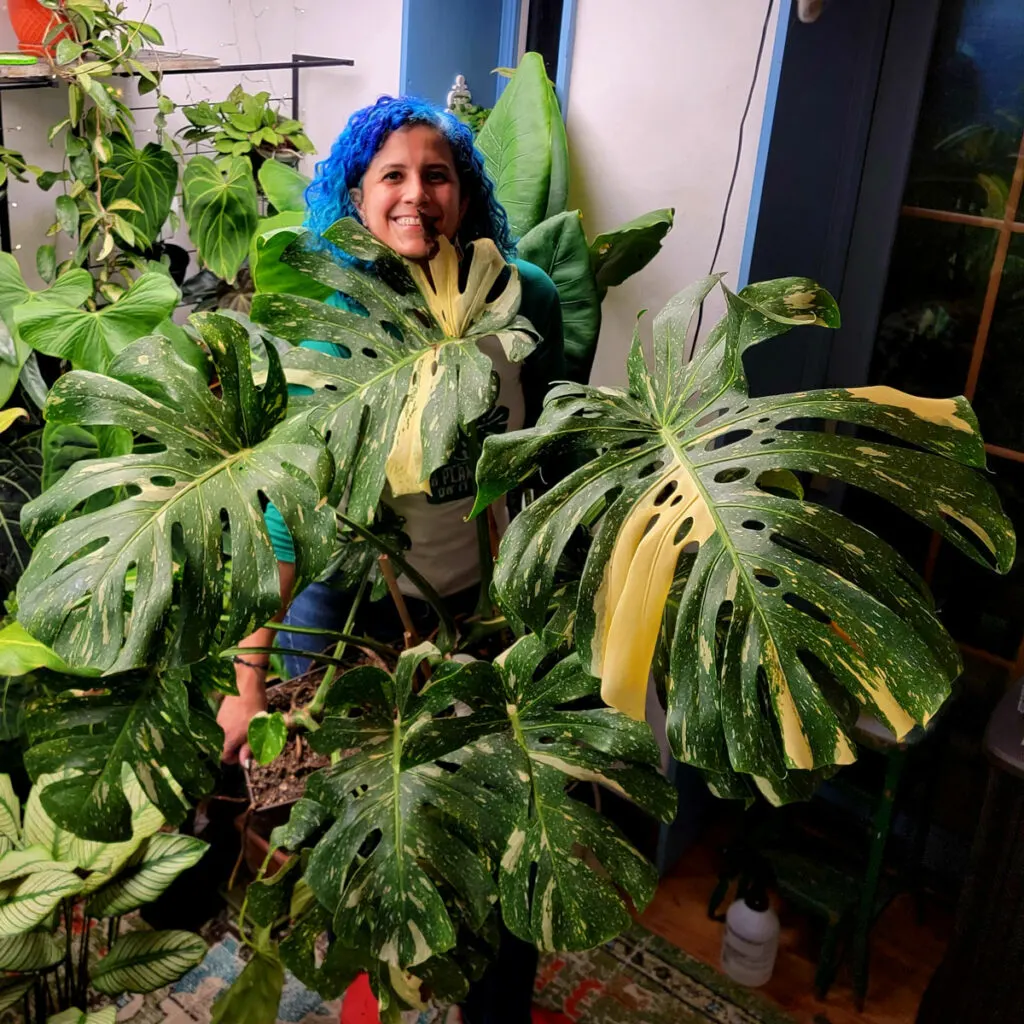 johanna-dominguez-put-a-plant-on-it