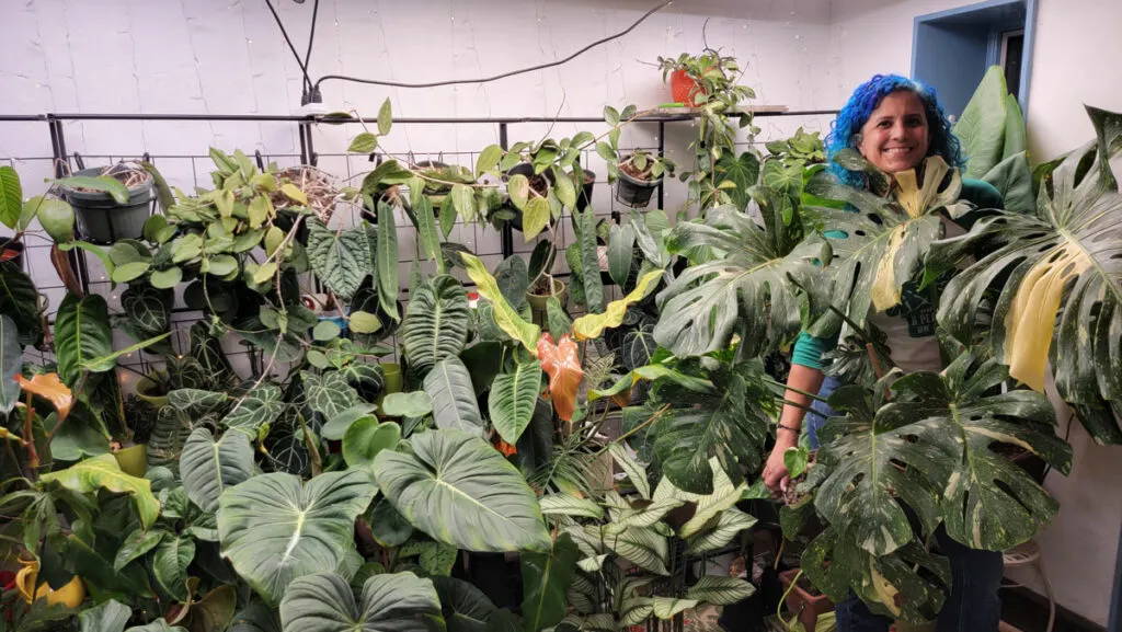 johanna-dominguez-put-a-plant-on-it