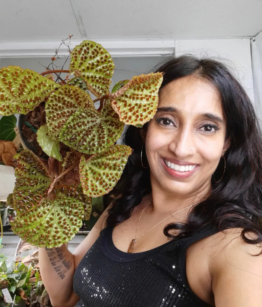 sowmya-johnson