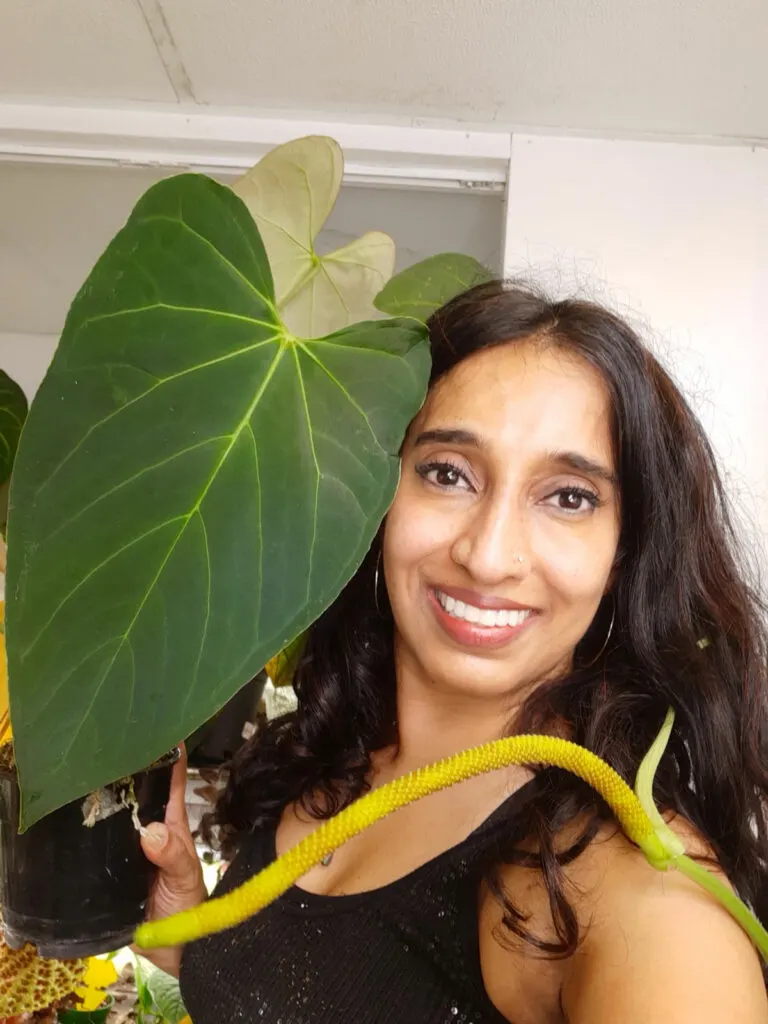 sowmya-johnson