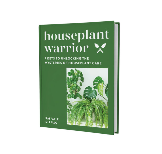 Top 7 Best Houseplant Books Houseplant Care Tips