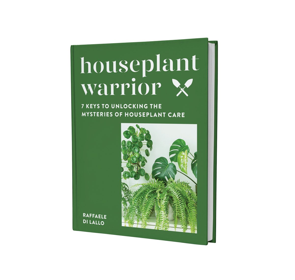 Top 7 Best Houseplant Books