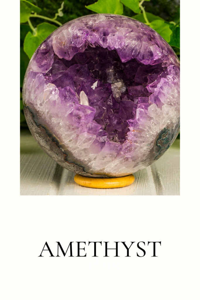 Plantas de interior de los mejores cristales de amatista