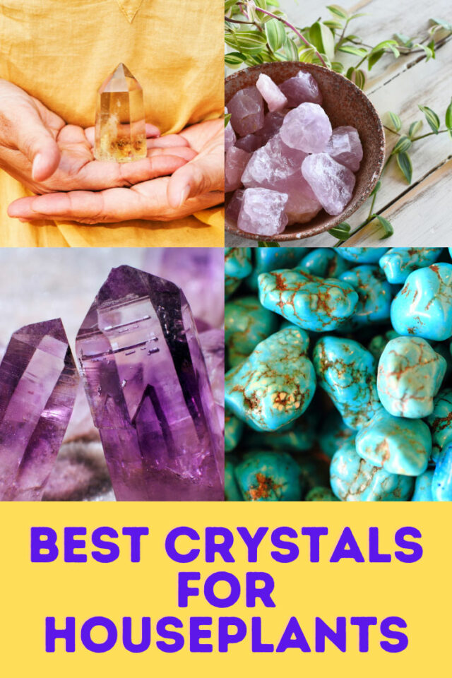 17 Best Crystals for Houseplants Adding a Spiritual Touch