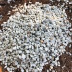 Best Pumice for Succulents: Soil Recipes & Tips to Use best-pumice-for-succulents