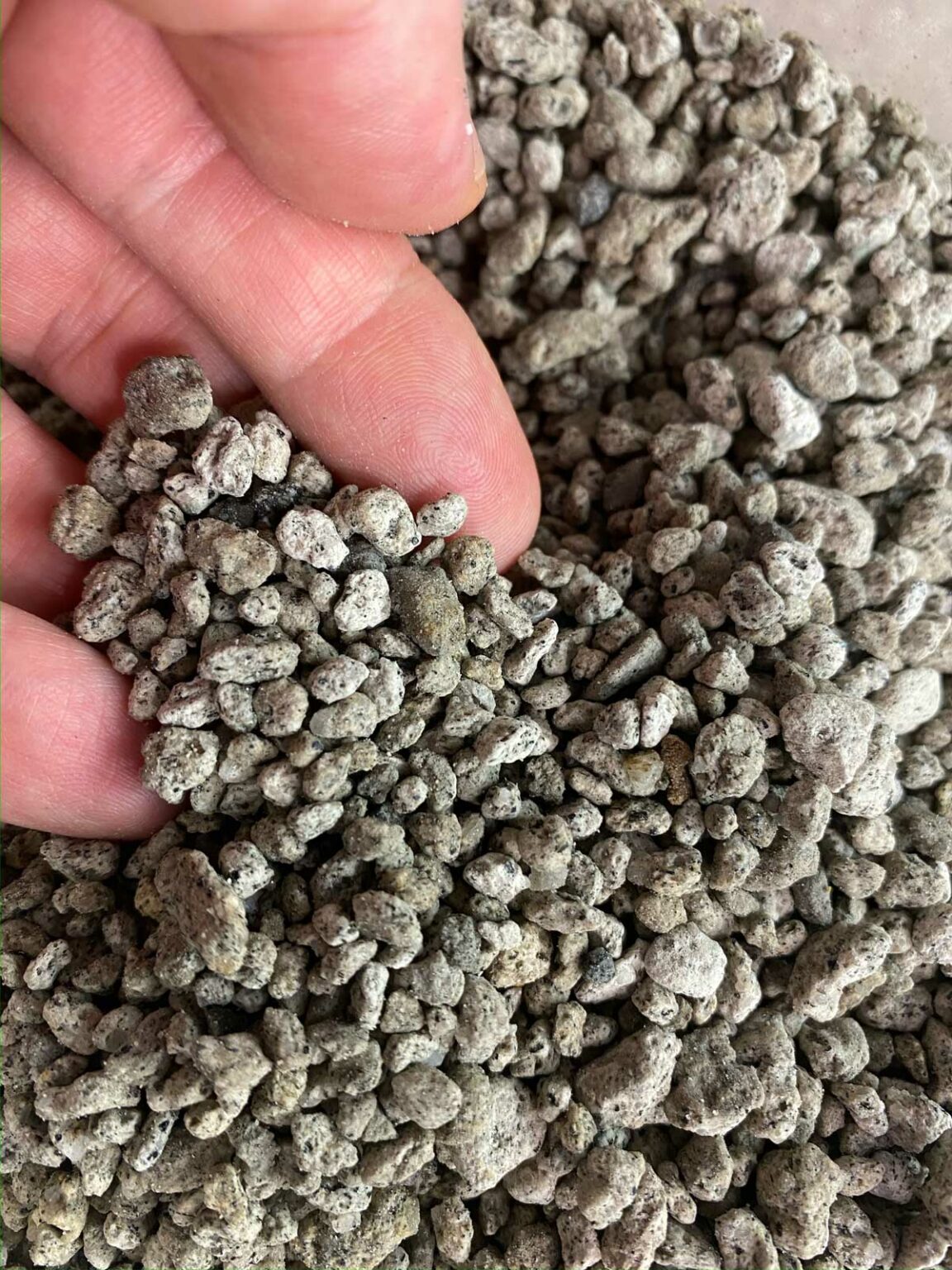 Perlite vs Pumice Pros & Cons of Both in Potting Mix