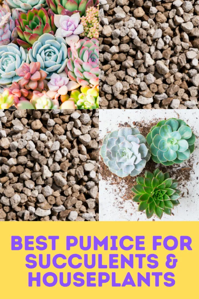 best-pumice-for-succulents
