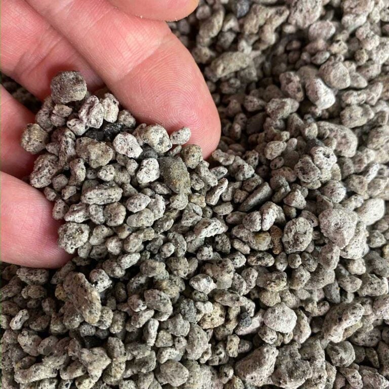 Best Pumice for Succulents:  Soil Recipes & Tips to Use