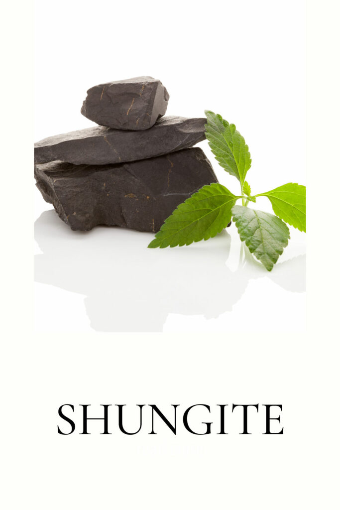 shungite-best-crystals-houseplants