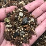 Sustainable Potting Soil for Indoor Plants - Oh Happy Plants Tropical-Succulent-soil-oh-happy-plants