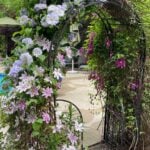 9 Beautiful Clematis Trellis & Support Ideas for Your Garden clematis-arbor