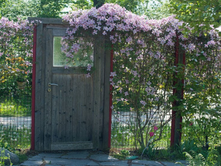 9 Beautiful Clematis Trellis & Support Ideas for Your Garden
