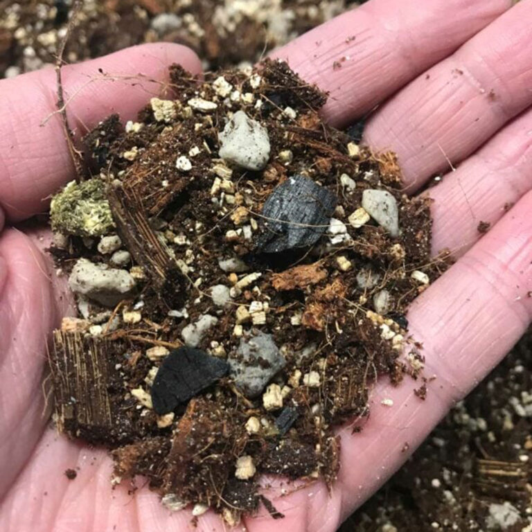 Sustainable Potting Soil for Indoor Plants - Oh Happy Plants