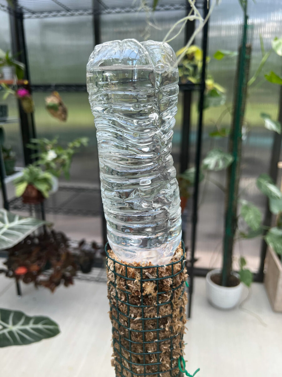 Self Watering Moss Pole Easily Water With Minimal Effort!