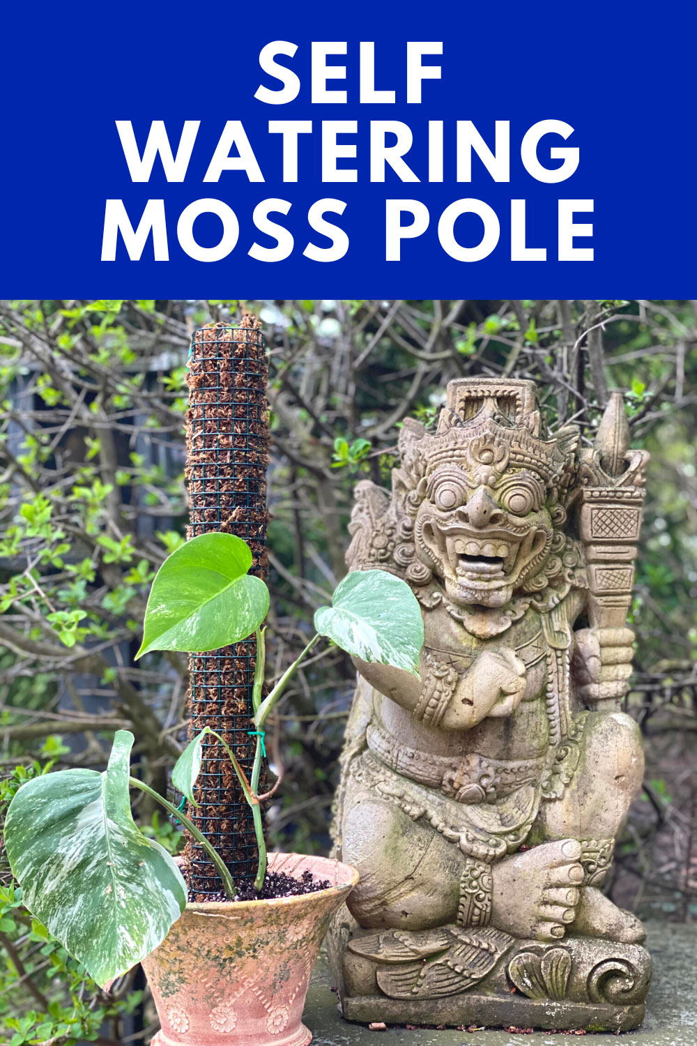 Self Watering Moss Pole Easily Water With Minimal Effort!