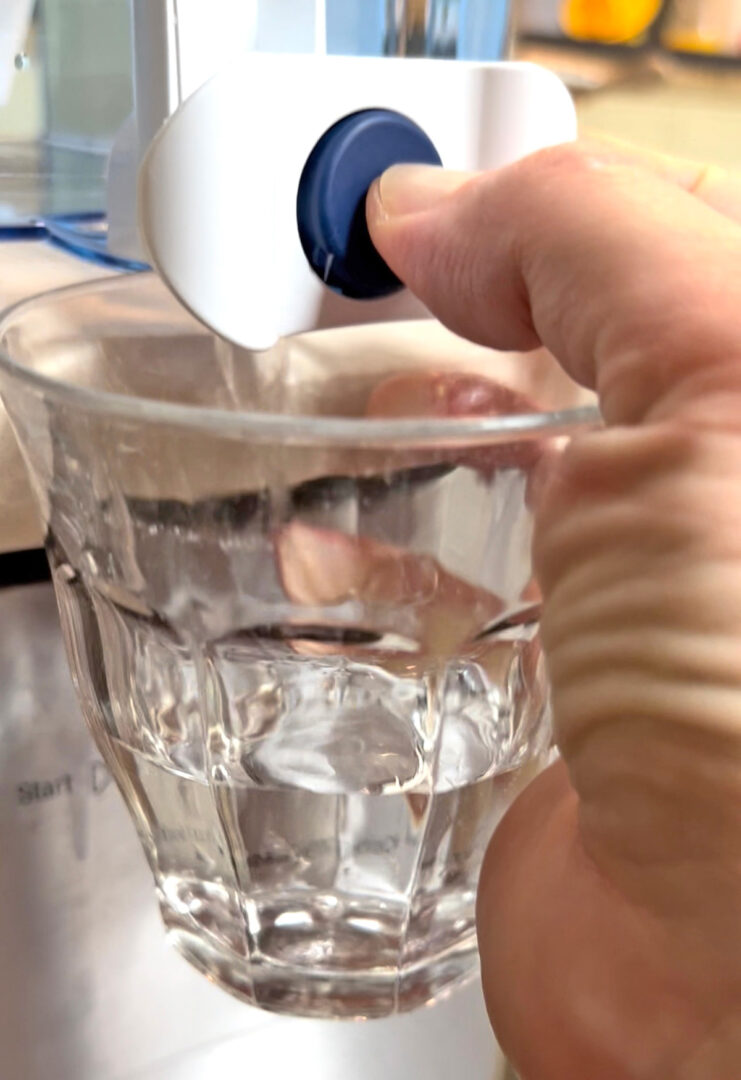 The BEST Distilled Water Alternative for Watering Calathea
