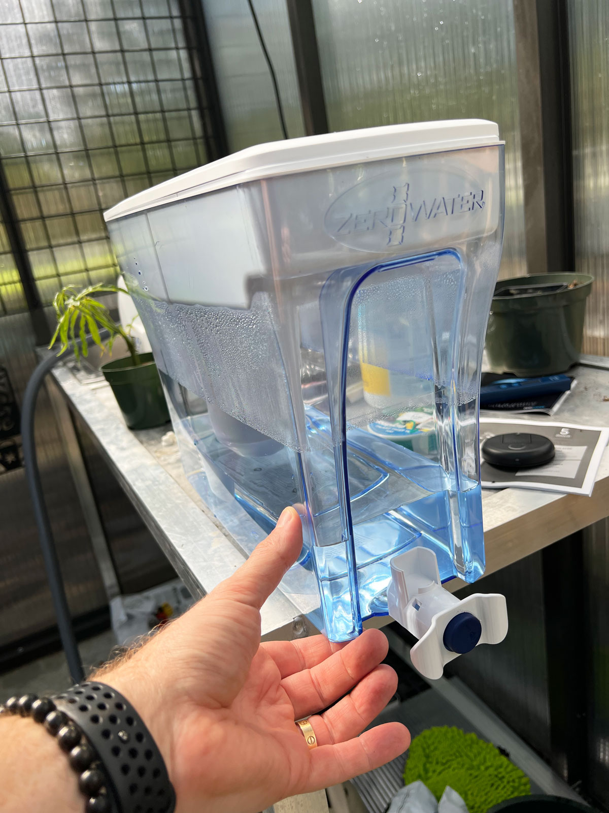 The BEST Distilled Water Alternative for Watering Calathea