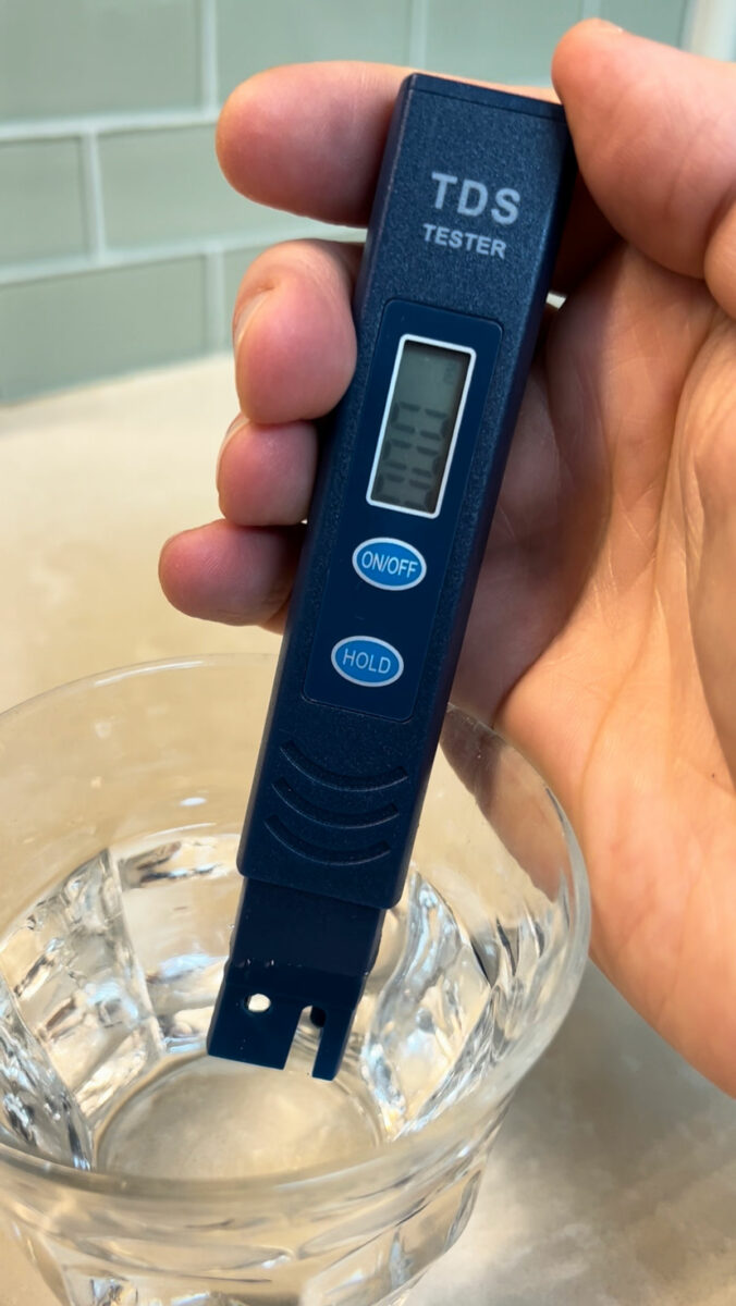 The BEST Distilled Water Alternative for Watering Calathea