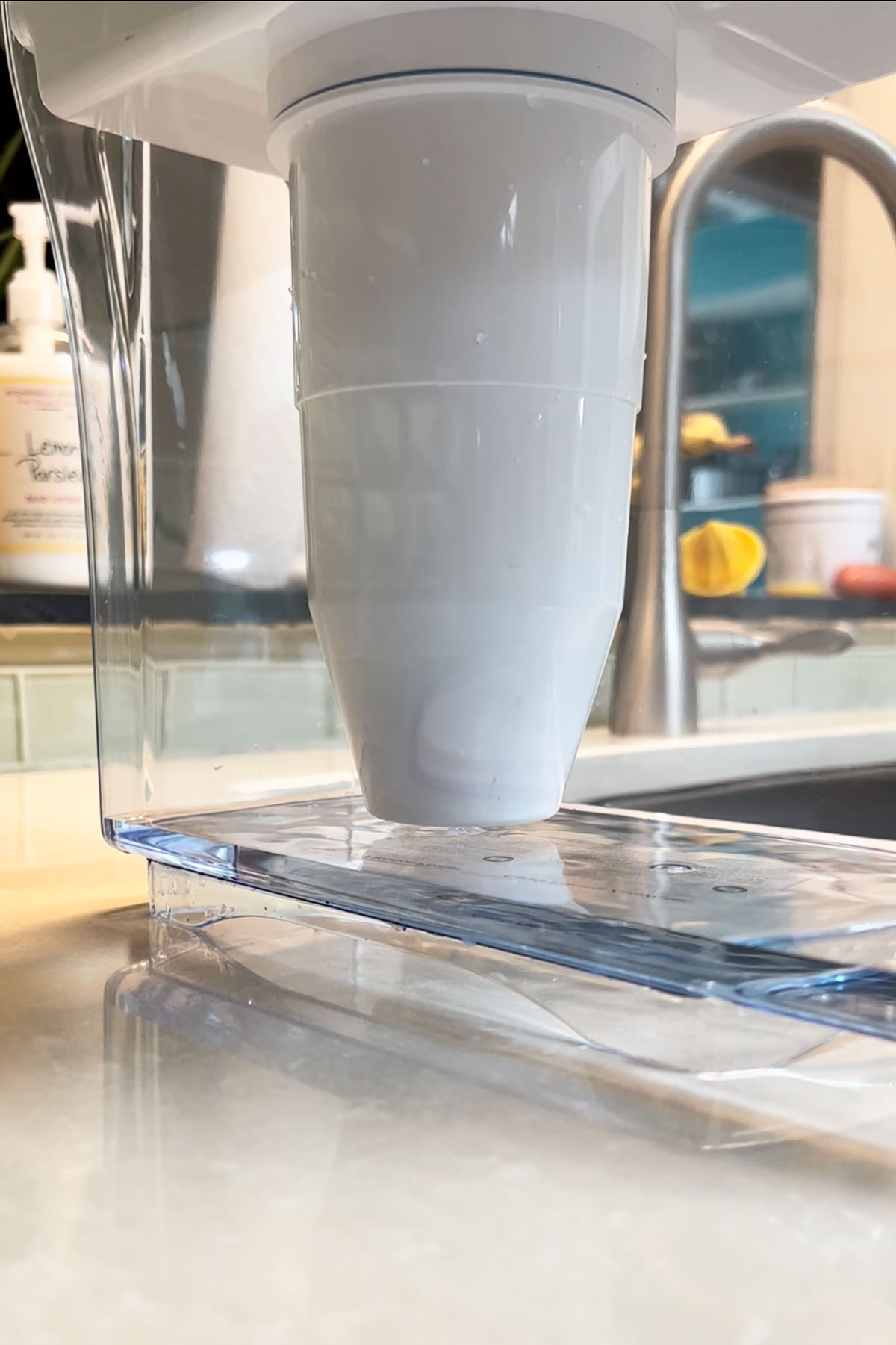 The BEST Distilled Water Alternative for Watering Calathea