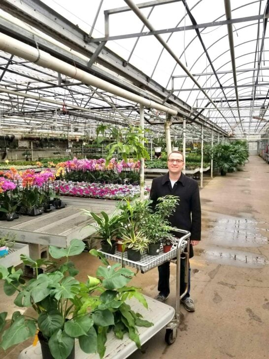 Best Fertilizer for Monstera Deliciosa + 5 Top Tips for Use