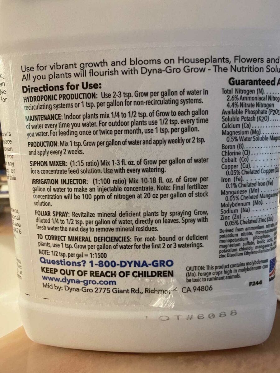 How to Grow Spider Plant in Water 5 Essential Tips