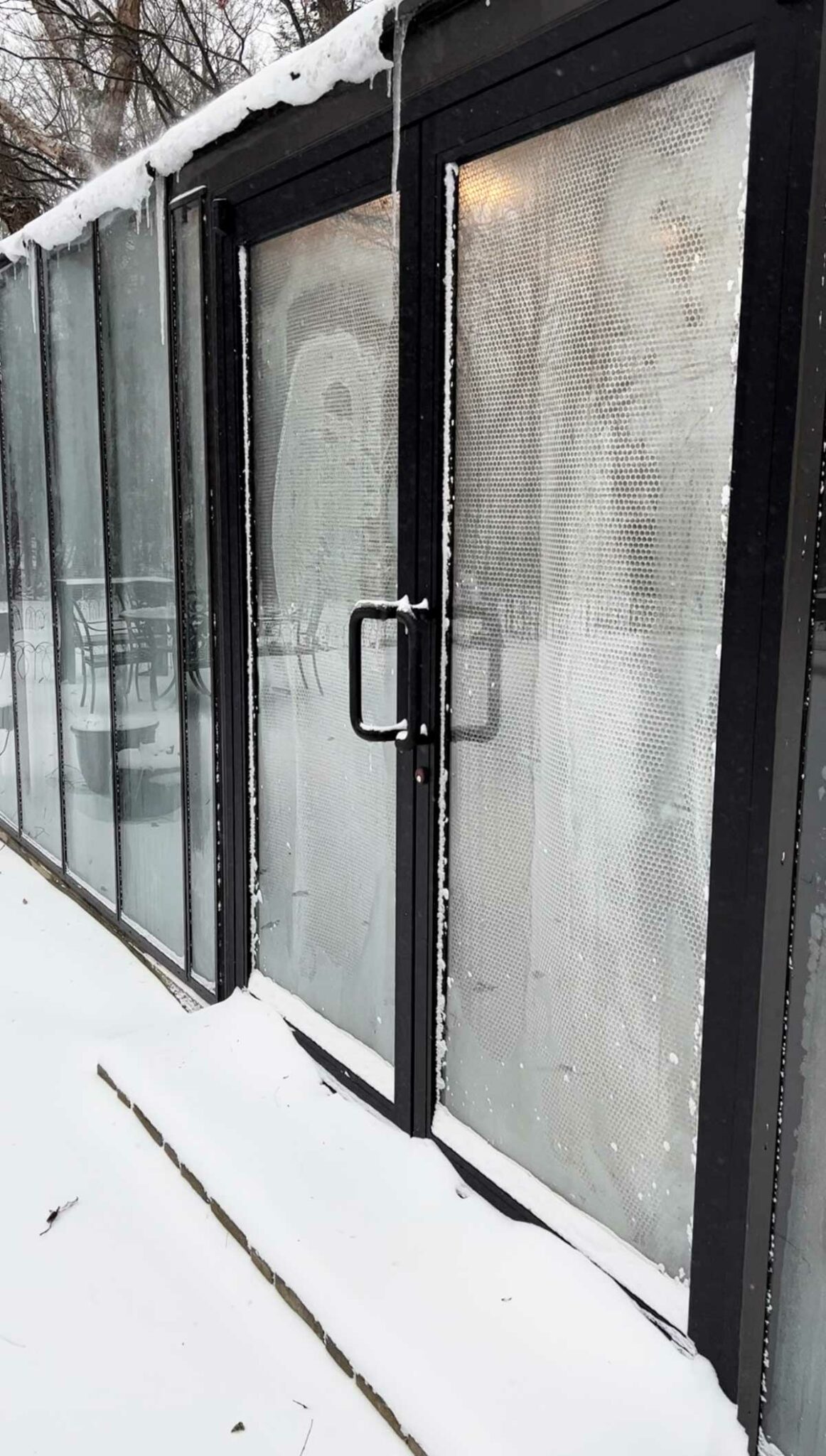 Insulating a Greenhouse with Bubble Wrap HowTo w/ Photos