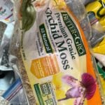 How to Water Orchids in Moss: 3 Vital Tips for Success how-to-water-orchids-in-sphagnum-moss