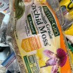 orchids-in-moss-1200x1200