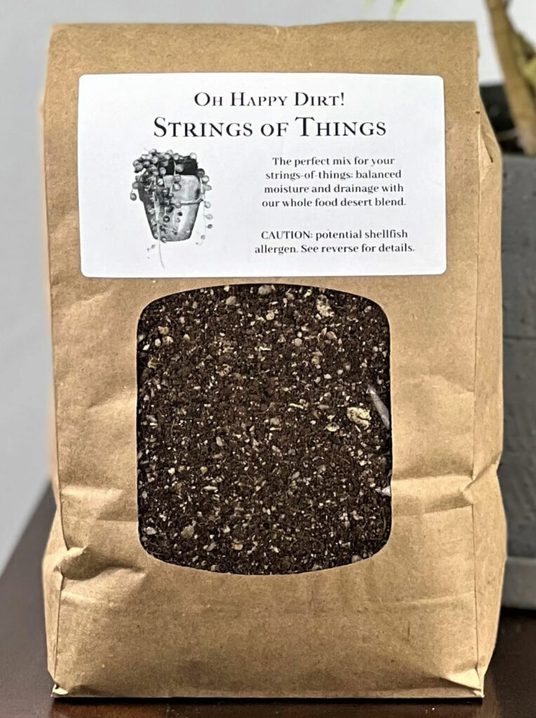 Best Soil for Propagating String of Hearts 3 Great Options!