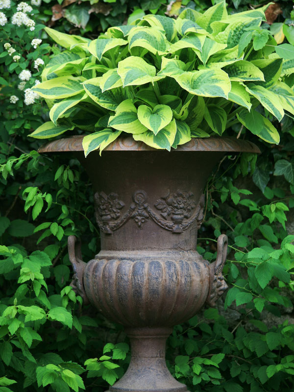 hostas-front-porch-shade