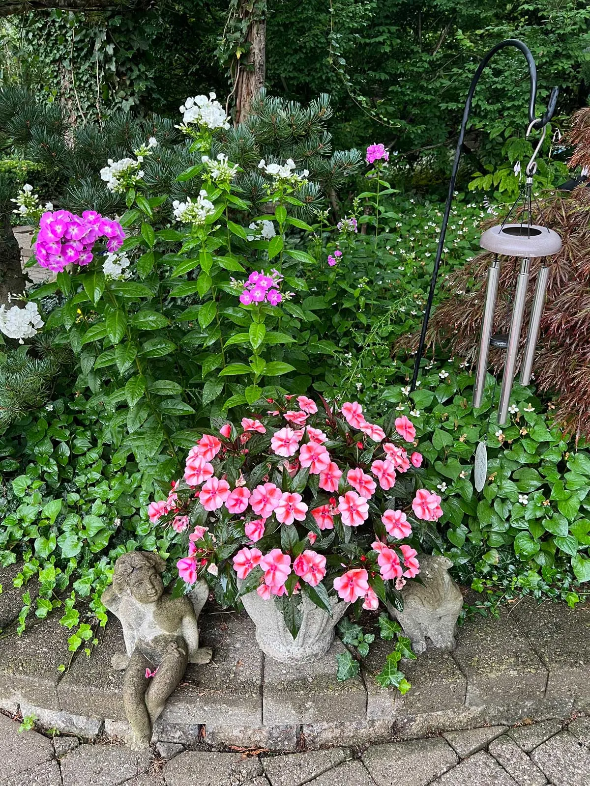 impatiens-plants-that-bloom-all-summer