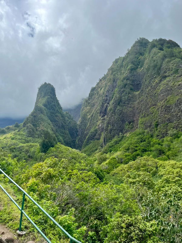 hawaii-plant-retreat