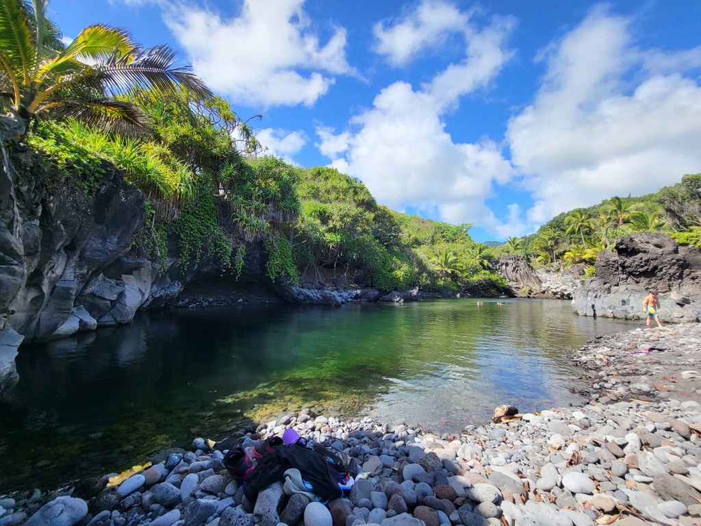 hawaii-plant-retreat