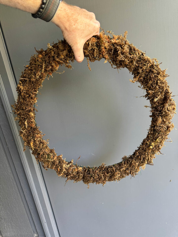 How to Make a Living DIY Wreath With Air Plants