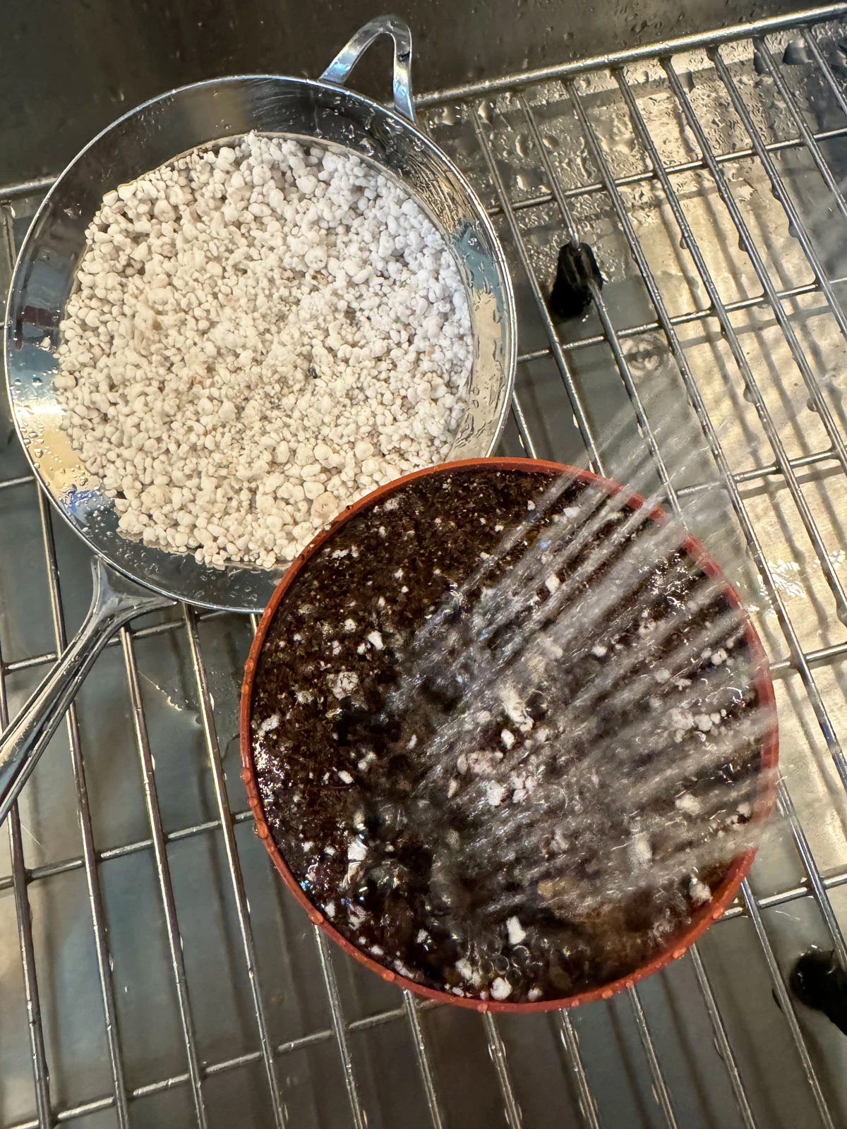 pre-moistening-african-violet-soil
