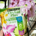 fertilizing-orchids-1200x1200