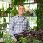 Houseplant and tropical plant care Raffaele