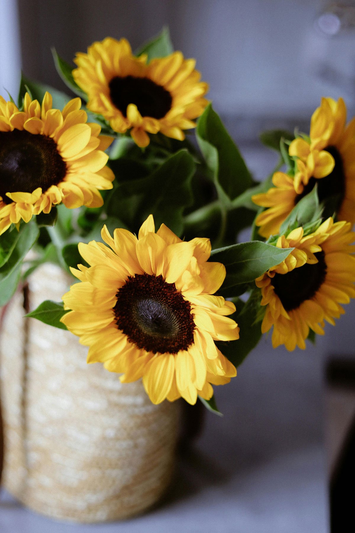 sunflower cut flowers