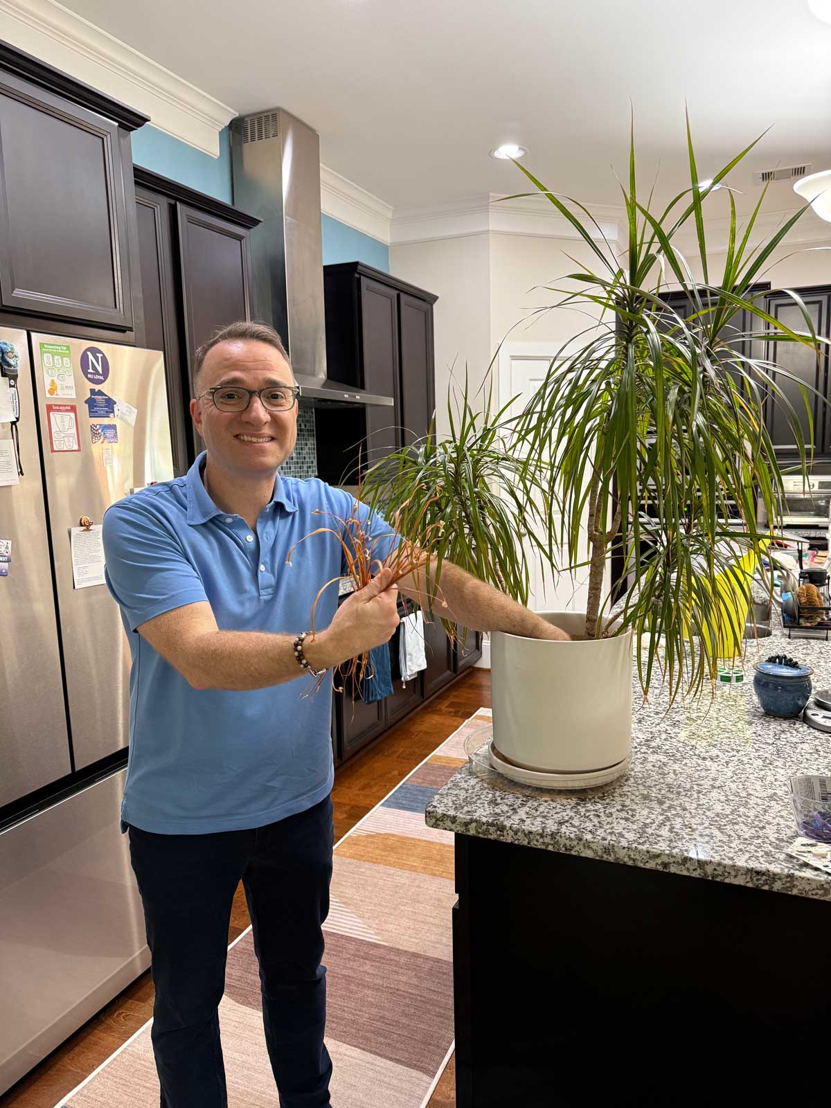 hydrophobic soil can damage your houseplants